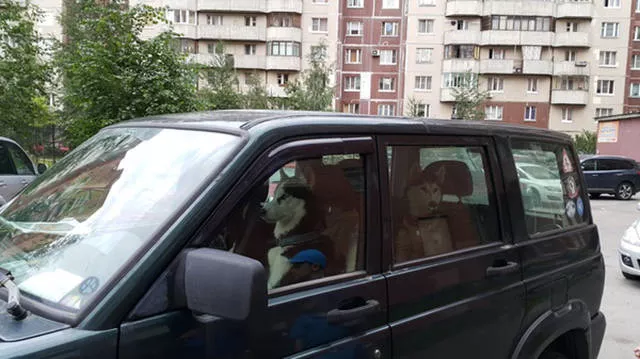 Picdump 152 - #62 