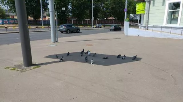 Picdump 152 - #63 
