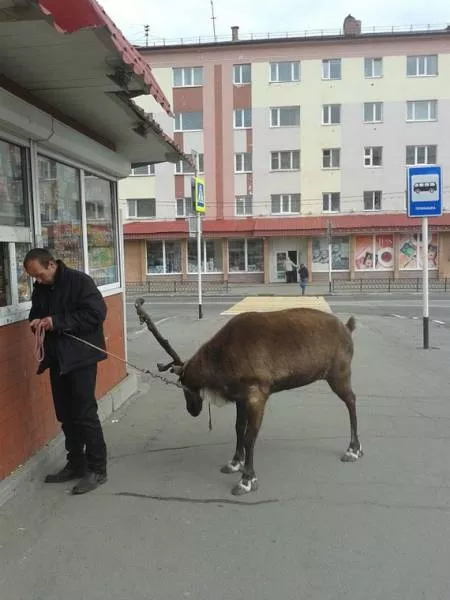 Picdump 152 - #65 