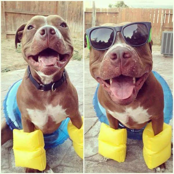 Picdump 152 - #69 