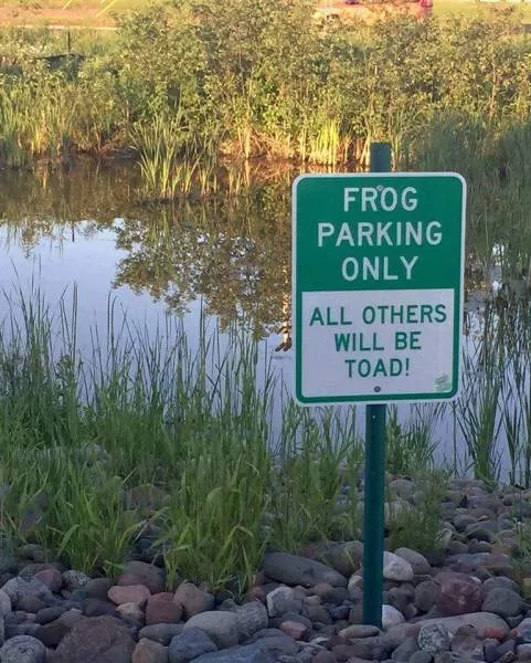 Picdump 152 - #70 