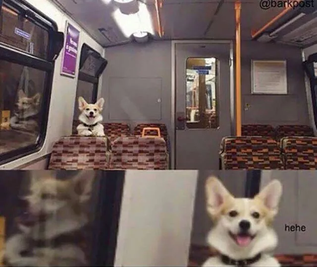Picdump 152 - #90 