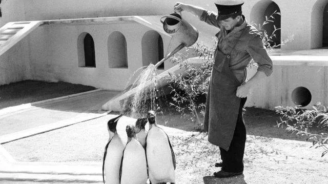 Picdump 152 - #94 