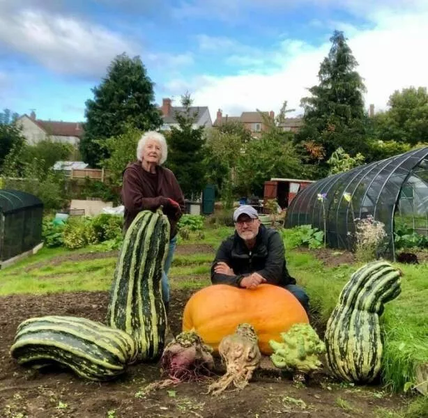 Comparaisons de taille lhumain comme metre etalon - #18 Ma famille à côté de légumes géants du jardin