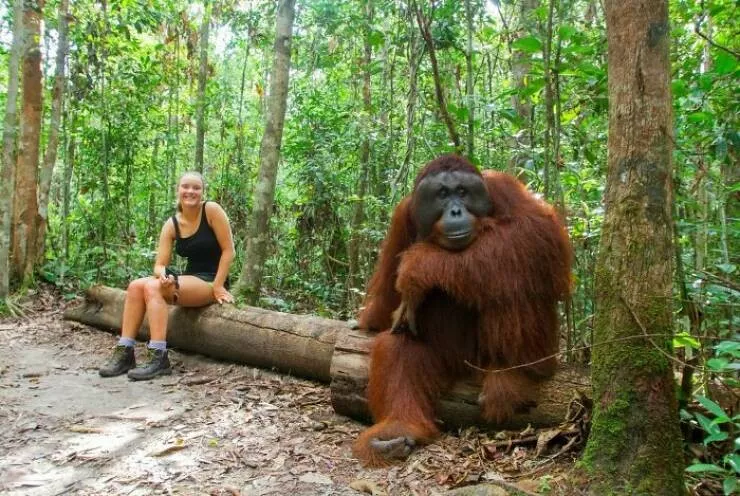 Size comparisons humans as the yardstick Size comparisons humans as the yardstick