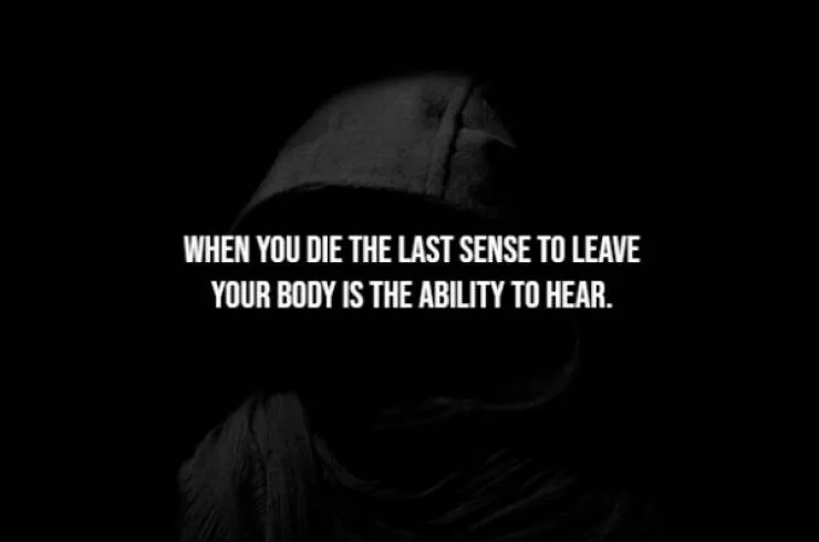 Unforgettable creepy facts and knowledge - #5 