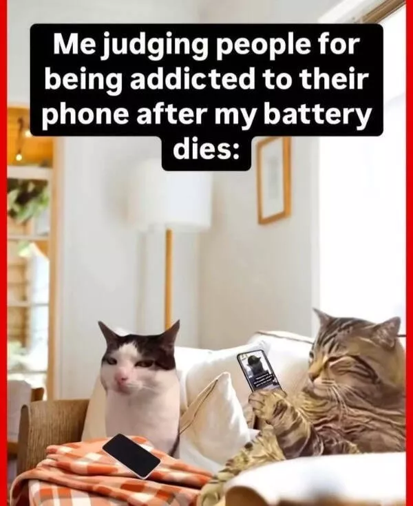 Memes where everybody sees themselves - #12 Memes where everybody sees themselves - #12