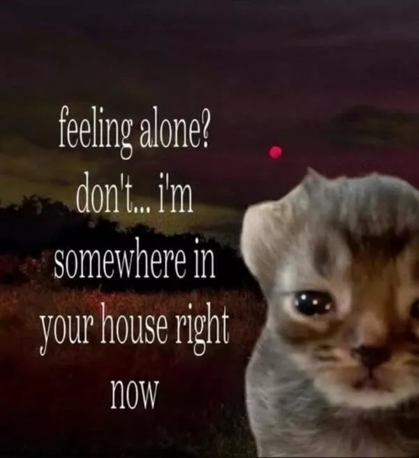 Memes where everybody sees themselves - #16 Memes where everybody sees themselves - #16
