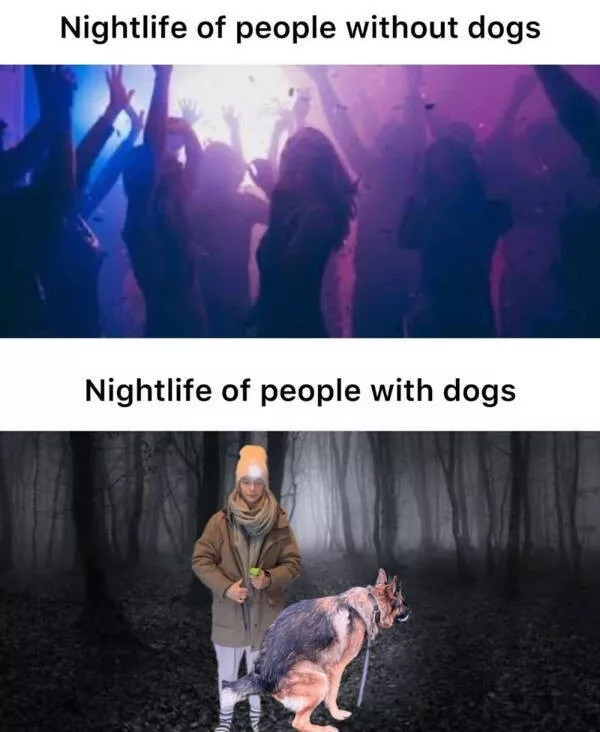 Memes where everybody sees themselves - #2 Memes where everybody sees themselves - #2