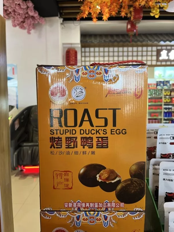 Translator fails the absurdity of language - #16 