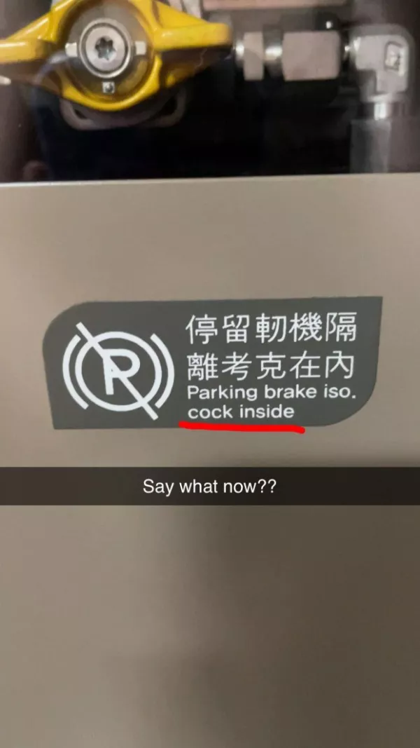 Translator fails the absurdity of language - #17 