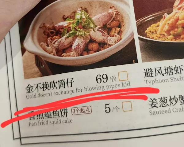Translator fails the absurdity of language - #4 