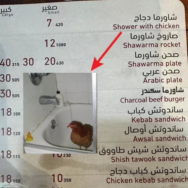Translator fails the absurdity of language - #9 