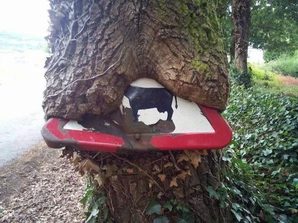 Picdump 1118 - #25 