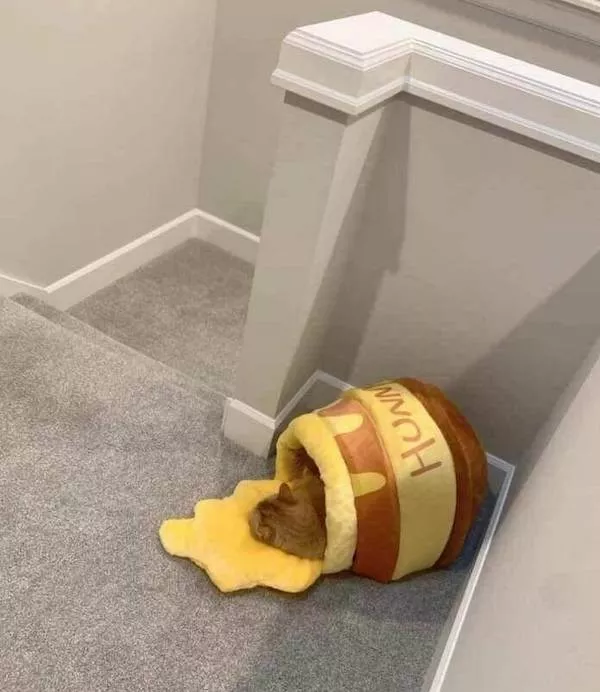 Picdump 1118 - #27 