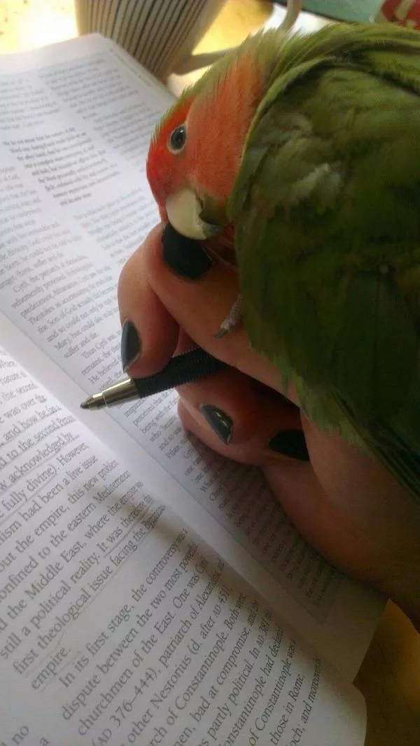 Picdump 1118 - #28 