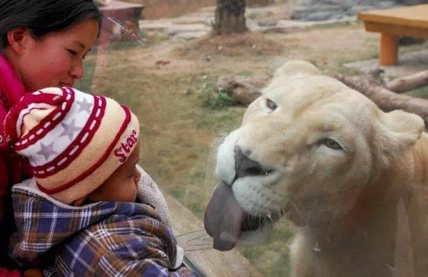 Picdump 1118 - #35 