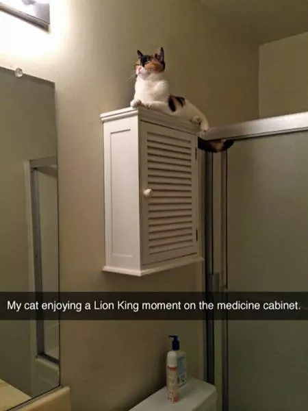 Top 93 funniest snapchat moments - #1 