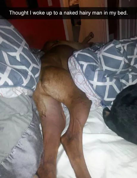 Top 93 funniest snapchat moments - #2 
