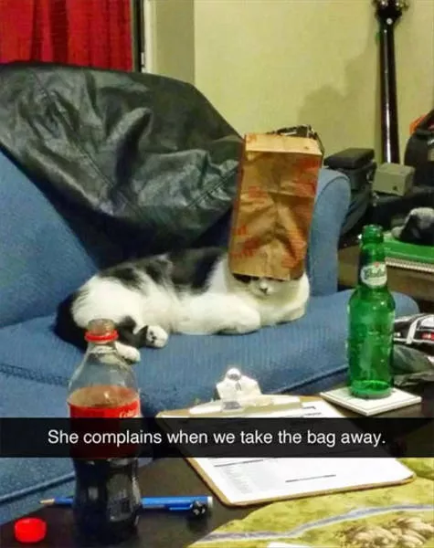 Top 93 funniest snapchat moments - #30 