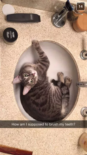 Top 93 funniest snapchat moments - #31 