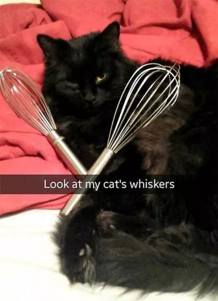 Top 93 funniest snapchat moments - #37 