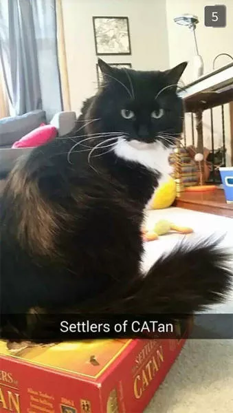 Top 93 funniest snapchat moments - #38 