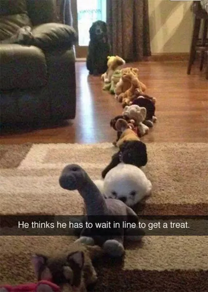 Top 93 funniest snapchat moments - #39 