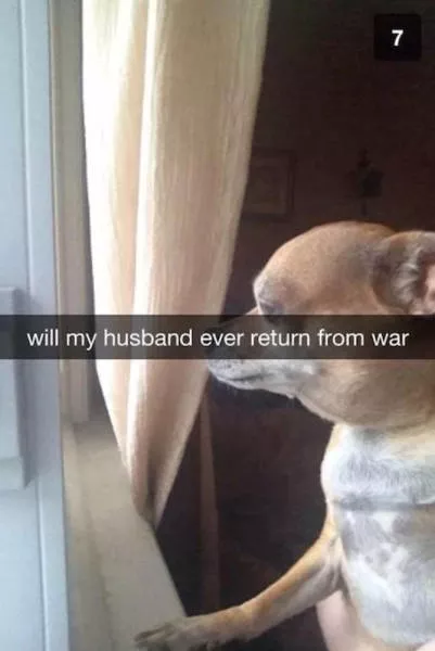 Top 93 des snaps les plus droles - #9 