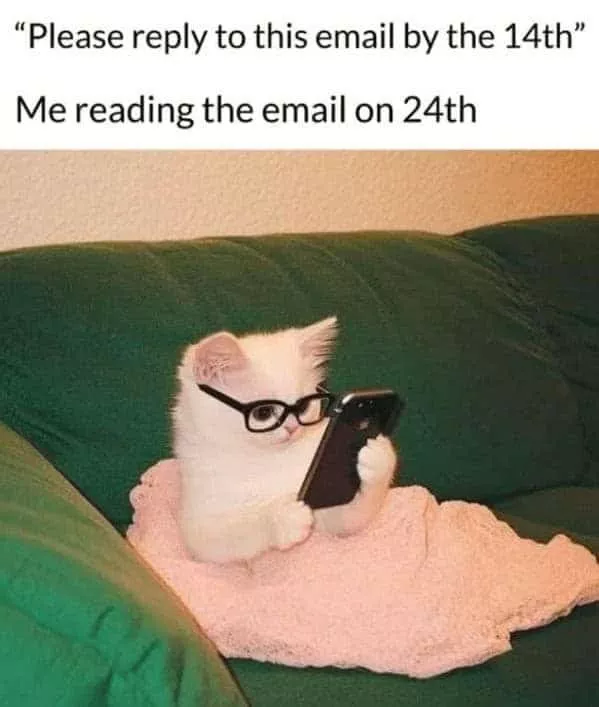 Email memes the inbox madness - #16 Email memes the inbox madness - #16