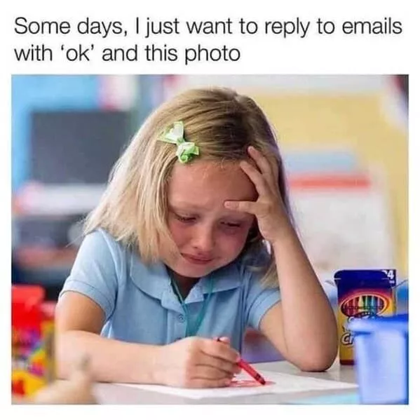 Email memes the inbox madness - #9 Email memes the inbox madness - #9