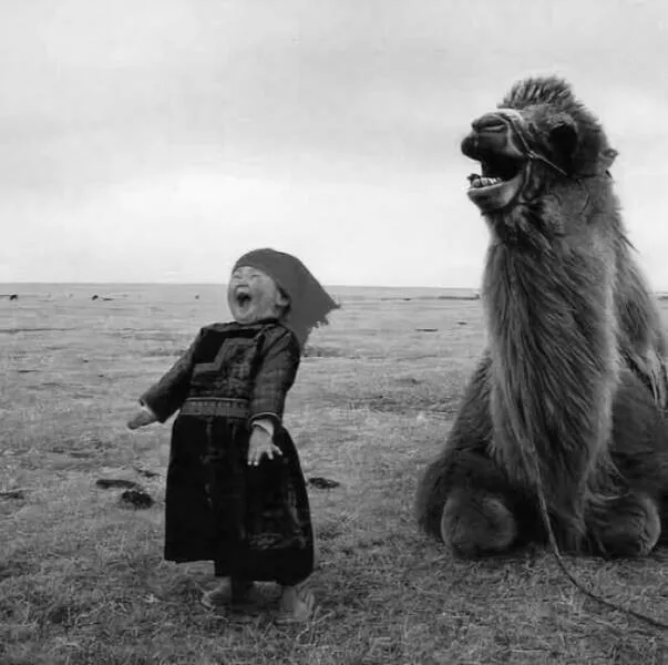 Photos and facts that change your perspective Photos and facts that change your perspective