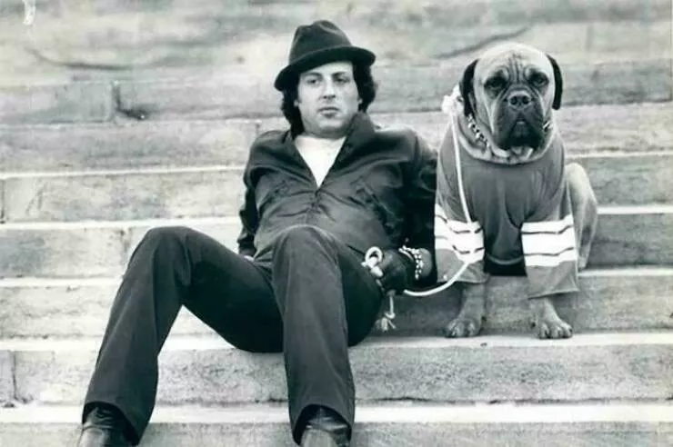 Photos and facts that change your perspective - #36 Stallone sold his dog Butkus for $40 before Rocky Photos and facts that change your perspective - #36 Stallone sold his dog Butkus for $40 before Rocky