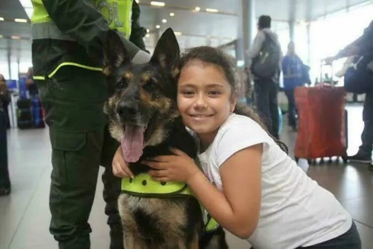 Photos and facts that change your perspective - #5 Sombra the police dog was so good she got a cartel bounty Photos and facts that change your perspective - #5 Sombra the police dog was so good she got a cartel bounty