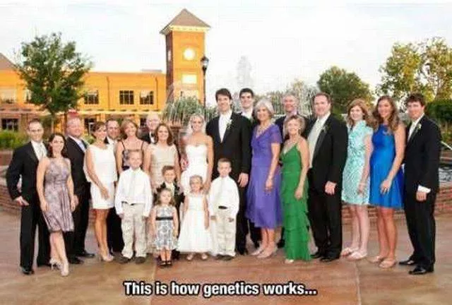 Picdump 153 - #31 