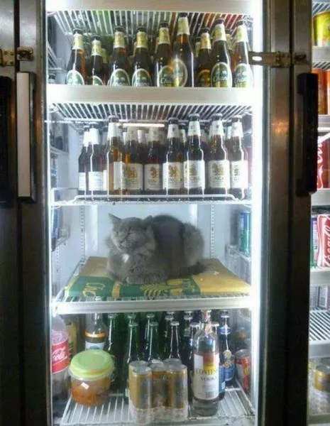 Picdump 153 - #34 