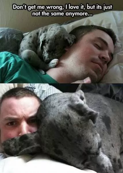 Picdump 153 - #43 