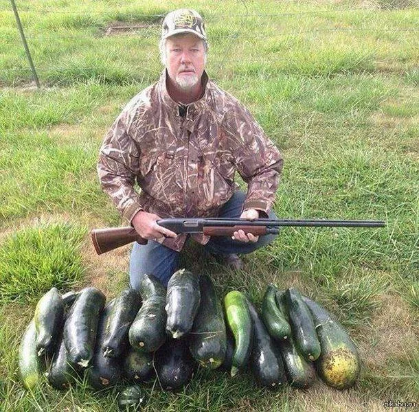 Picdump 153 - #52 