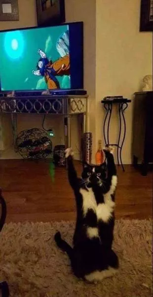 Picdump 153 - #53 