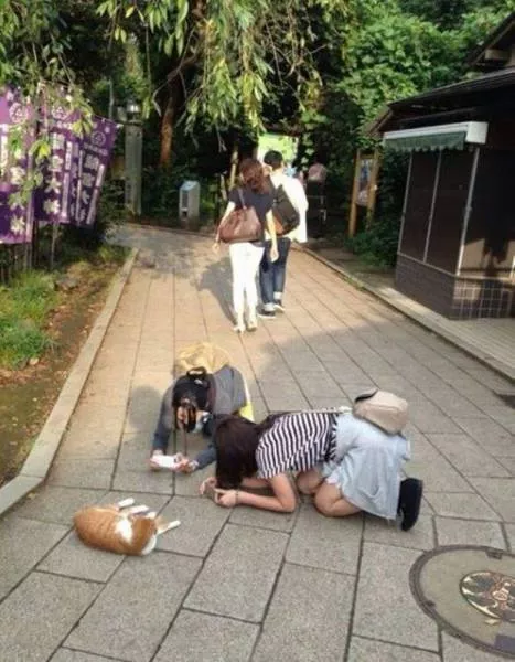 Picdump 153 - #69 Picdump 153 - #69