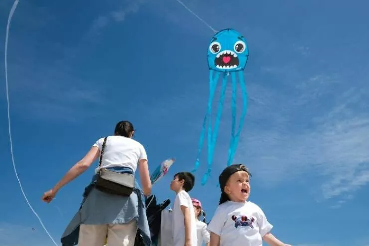 Le meilleur de la photographie de rue 2025 - #21 Finaliste : Attaque de cerf-volant par Cristiano Bartoli, Italie Le meilleur de la photographie de rue 2025 - #21 Finaliste : Attaque de cerf-volant par Cristiano Bartoli, Italie