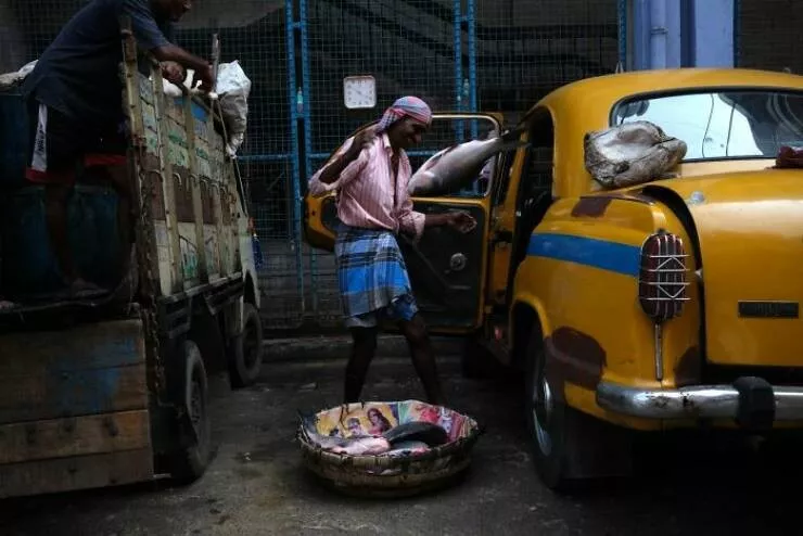 Le meilleur de la photographie de rue 2025 - #33 Finaliste : Poisson volant par Dennis Zelaya, États-Unis Le meilleur de la photographie de rue 2025 - #33 Finaliste : Poisson volant par Dennis Zelaya, États-Unis