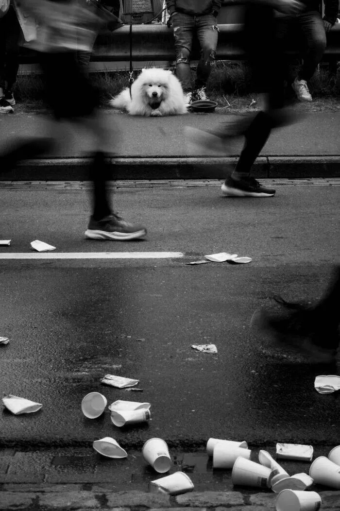 Le meilleur de la photographie de rue 2025 - #34 Finaliste : Des yeux au-delà de la course par Holger Kunze, Belgique Le meilleur de la photographie de rue 2025 - #34 Finaliste : Des yeux au-delà de la course par Holger Kunze, Belgique