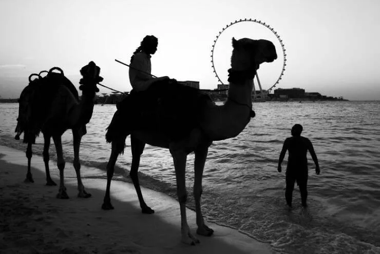 Le meilleur de la photographie de rue 2025 - #38 Finaliste : Ain Dubai par Paul Van Walree, Norvège Le meilleur de la photographie de rue 2025 - #38 Finaliste : Ain Dubai par Paul Van Walree, Norvège