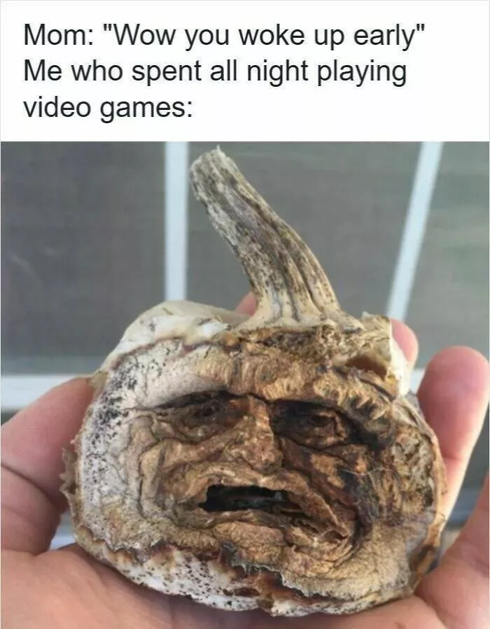 Humor for exhaustion and sleep deprivation - #6 