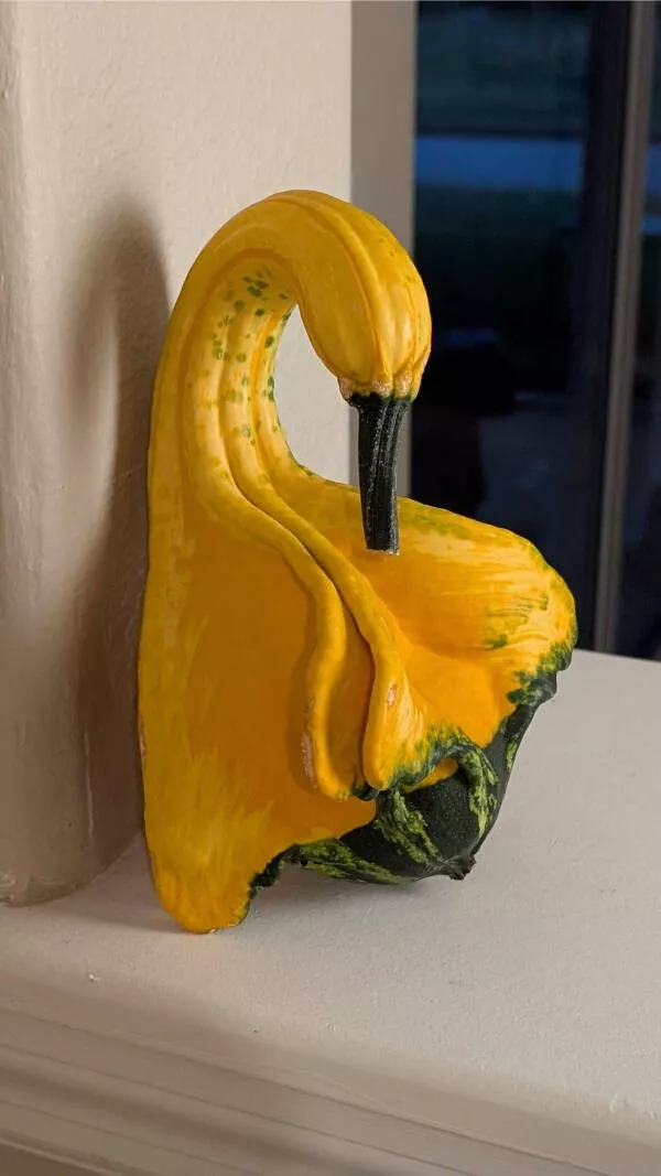 Ces petits moments de perfection et de plaisir - #14 Cette gourde que j'ai ramassée ressemble à un oiseau
