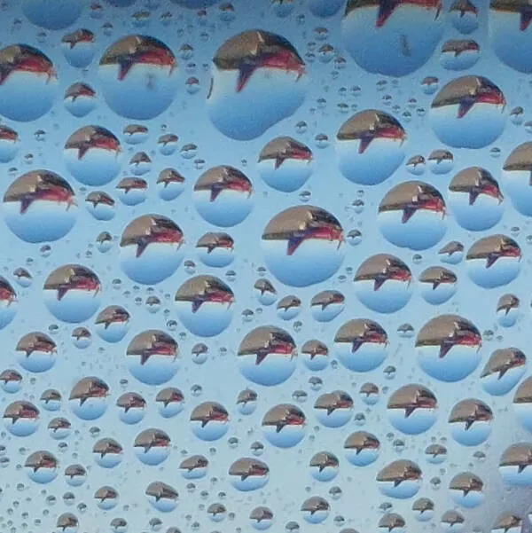 Mildly satisfying mildly awesome moments