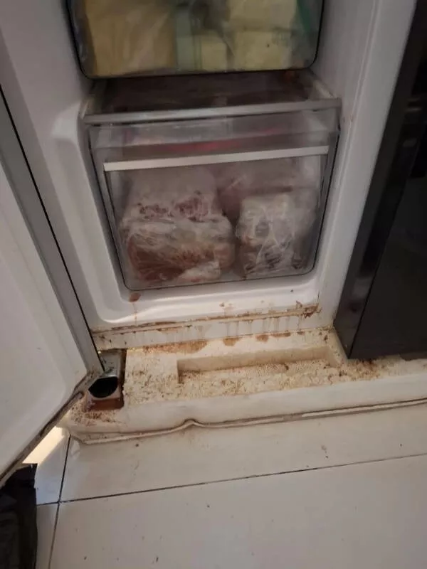 Mauvaise journee la malchance au quotidien - #14 J'ai renversé mon café sur deux mois de travail de broderie