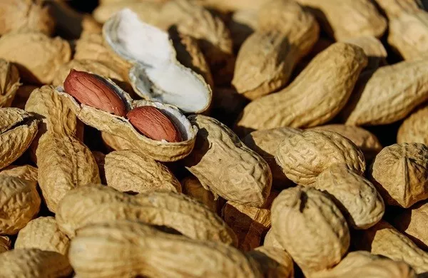 Faits inutiles a connaitre et a oublier - #11 Les arachides ne sont pas des noix, mais des légumineuses Faits inutiles a connaitre et a oublier - #11 Les arachides ne sont pas des noix, mais des légumineuses