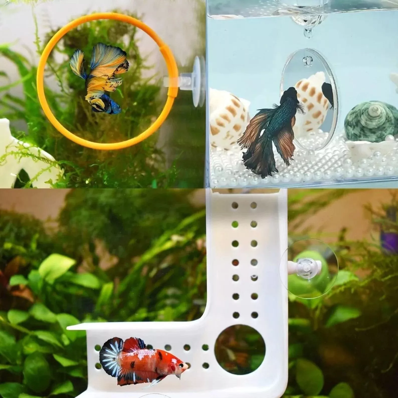 Produits horribles pourquoi ca existe - #12 Circuit d'entraînement pour poissons en aquarium